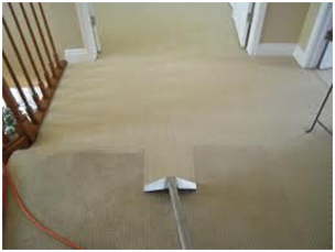 powerful carpet cleaning tool